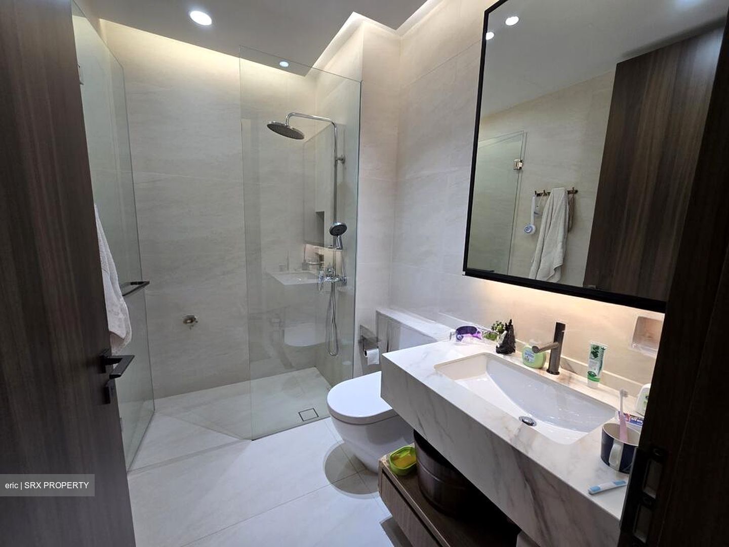 Leedon Green (D10), Condominium #497284711